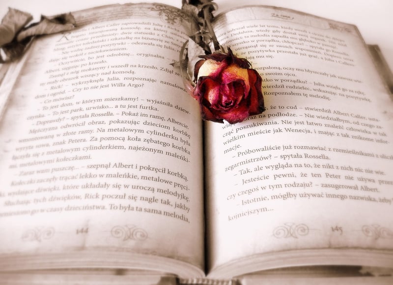 Time travel book
